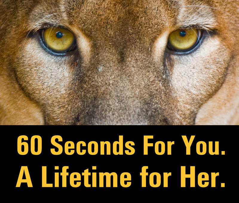 Roadside sign with photo of a panther says: "60 Seconds for you, a Lifetime for Her" speaks volumes about the need to moderate driving speed to achieve mitigation of wildlife-vehicle collisions (Photo: anthercrossing.org)