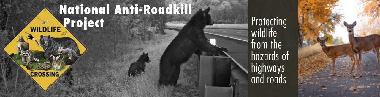 National Anti-Roadkill Project